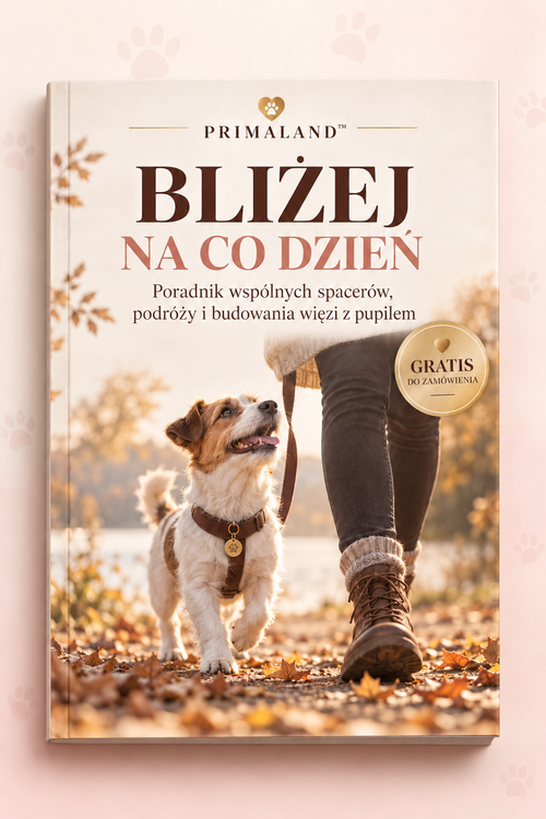 Bliżej na co dzień - poradnik